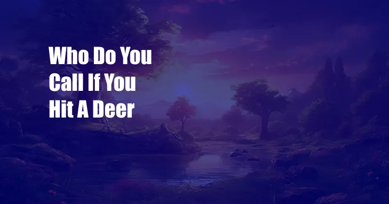 Who Do You Call If You Hit A Deer