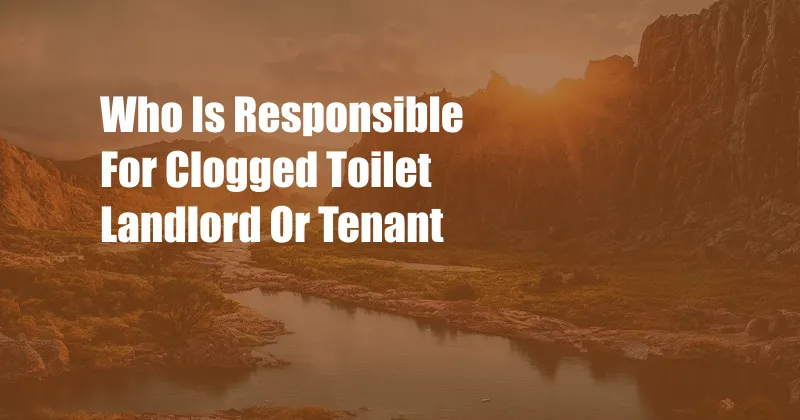 Who Is Responsible For Clogged Toilet Landlord Or Tenant