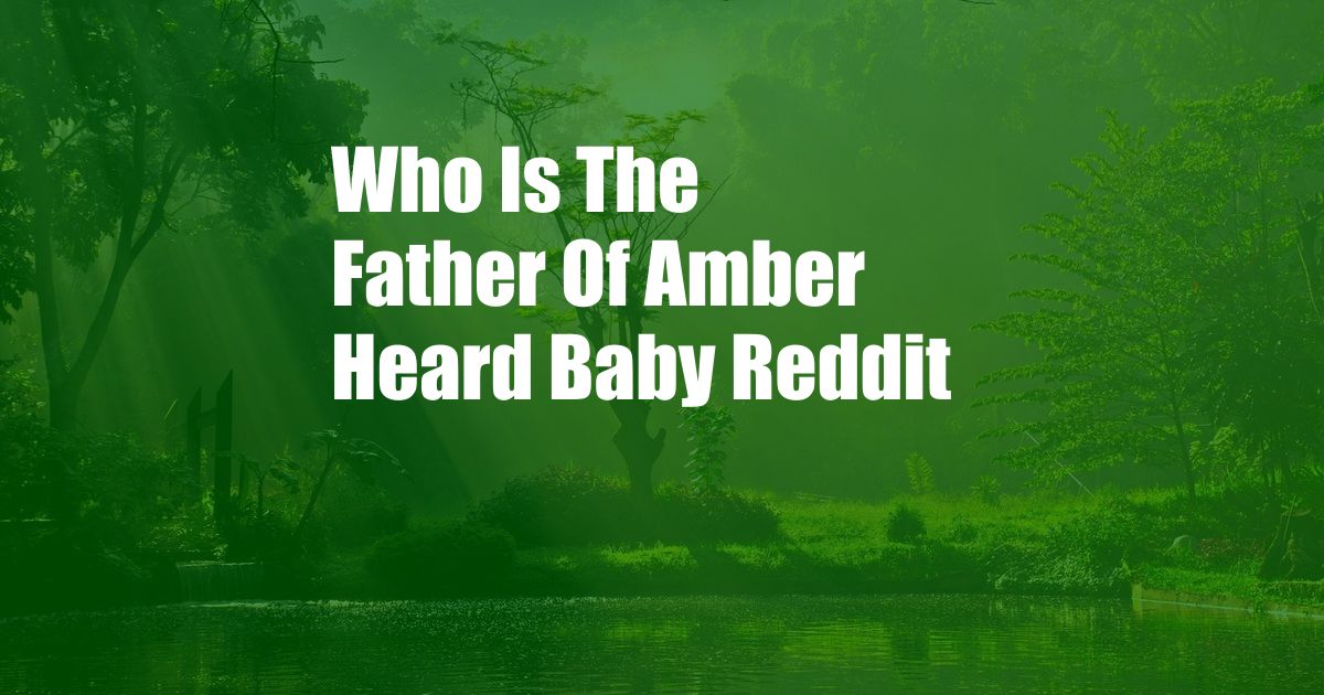 Who Is The Father Of Amber Heard Baby Reddit