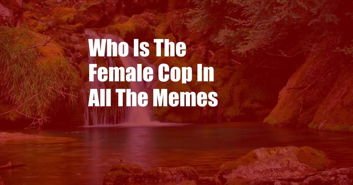 Who Is The Female Cop In All The Memes