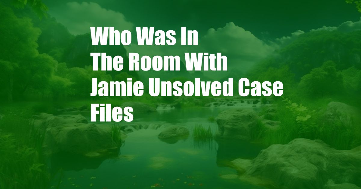 Who Was In The Room With Jamie Unsolved Case Files