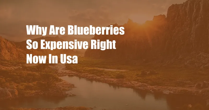 Why Are Blueberries So Expensive Right Now In Usa