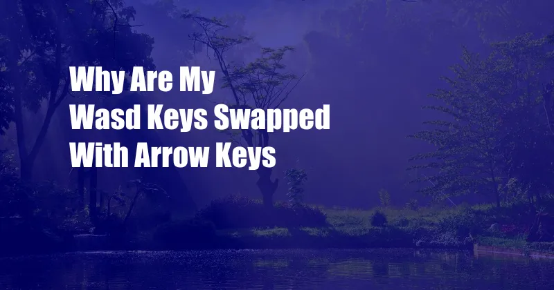 Why Are My Wasd Keys Swapped With Arrow Keys - Cpazo.com