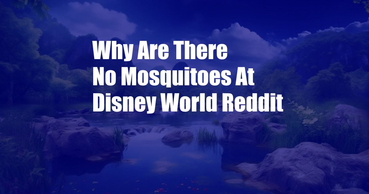 Why Are There No Mosquitoes At Disney World Reddit