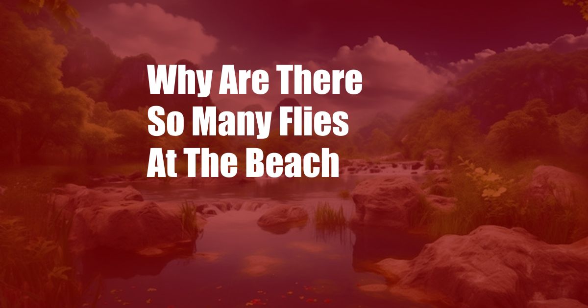 Why Are There So Many Flies At The Beach