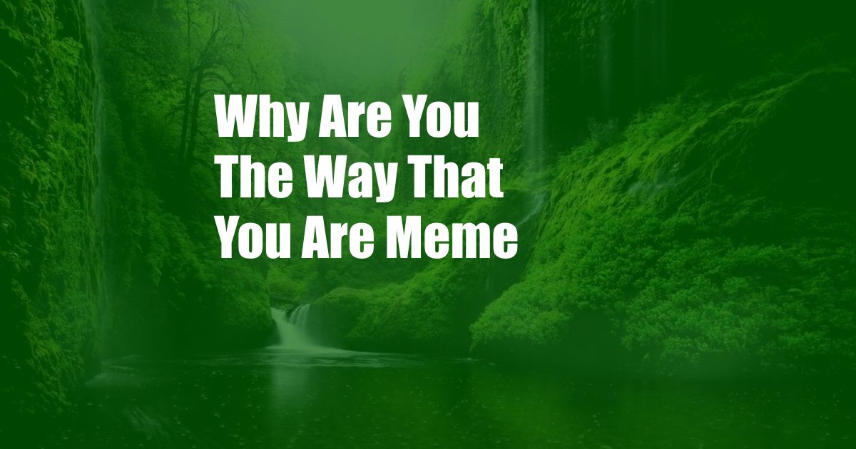 Why Are You The Way That You Are Meme