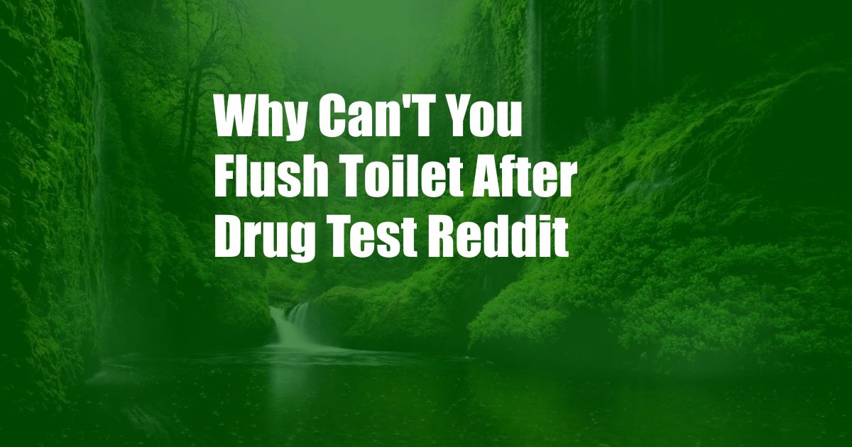 Why Can'T You Flush Toilet After Drug Test Reddit