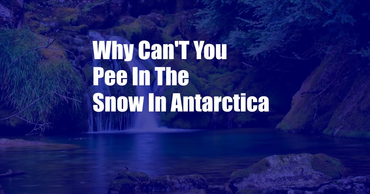 Why Can'T You Pee In The Snow In Antarctica