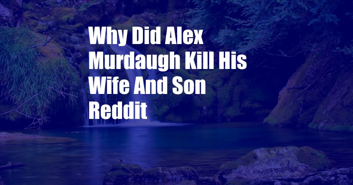 Why Did Alex Murdaugh Kill His Wife And Son Reddit