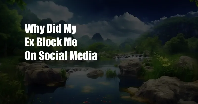 Why Did My Ex Block Me On Social Media