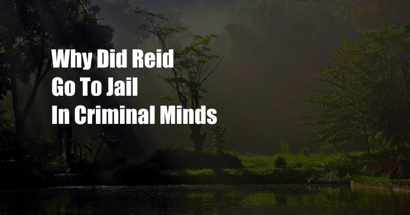 Why Did Reid Go To Jail In Criminal Minds