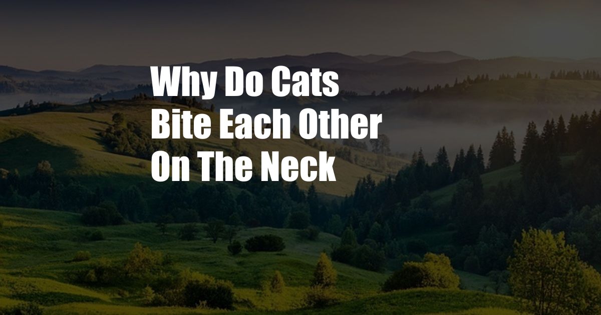 Why Do Cats Bite Each Other On The Neck