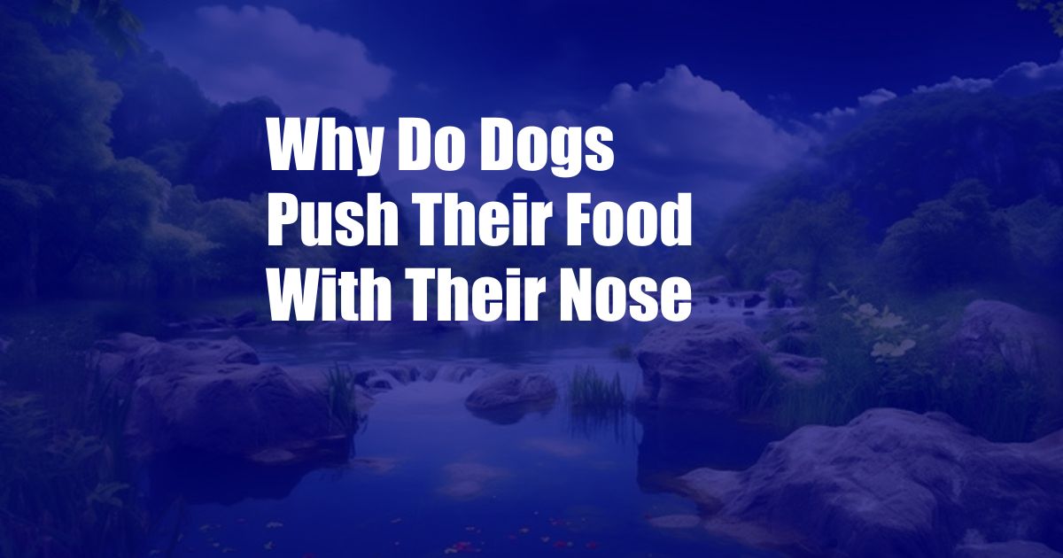 Why Do Dogs Push Their Food With Their Nose