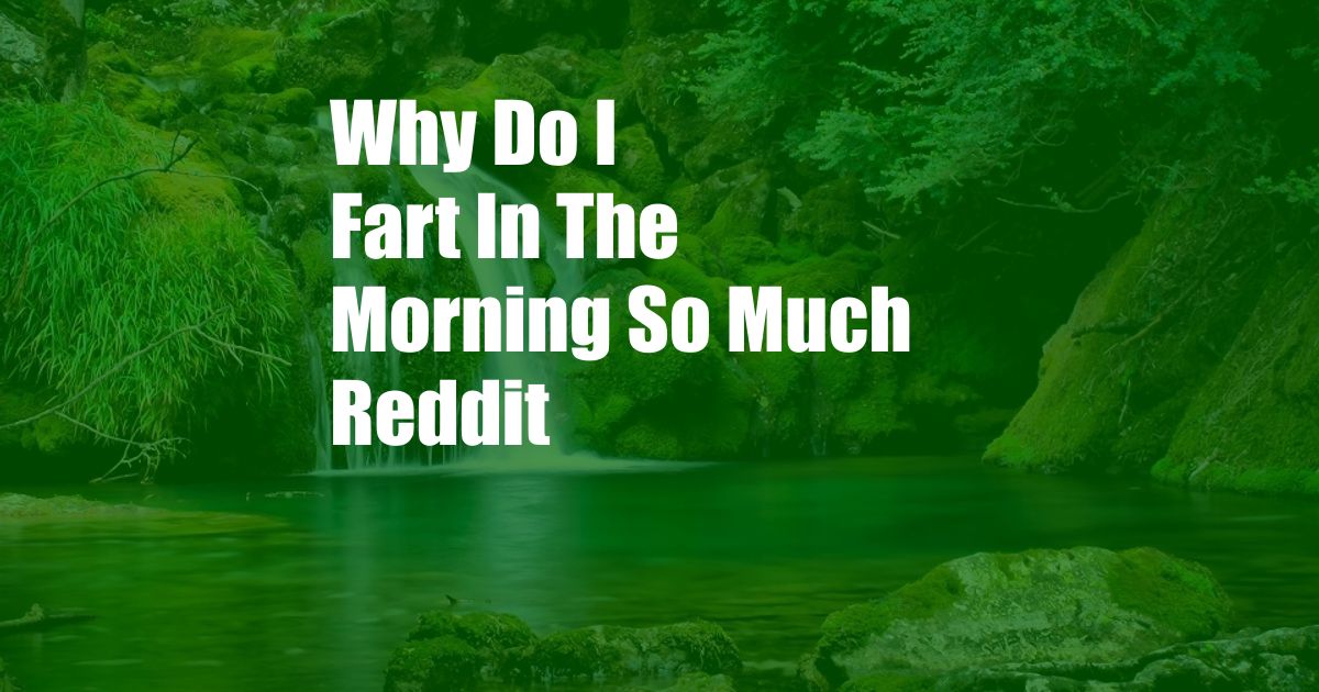 Why Do I Fart In The Morning So Much Reddit