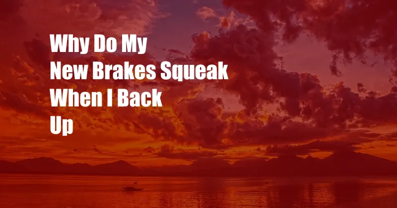 Why Do My New Brakes Squeak When I Back Up