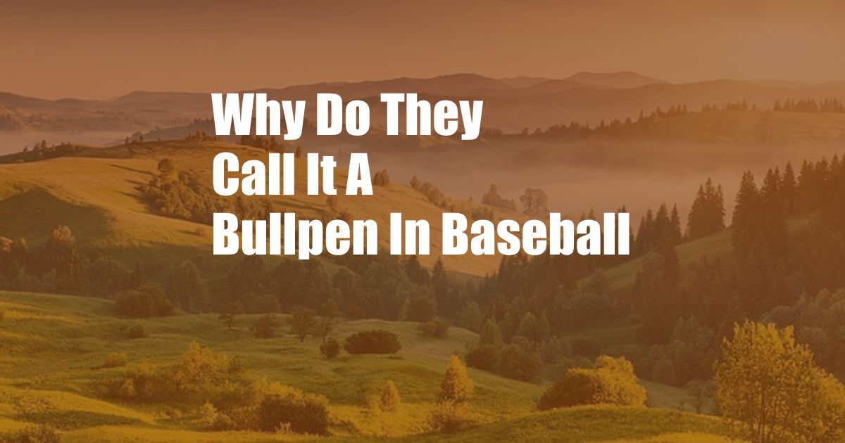 Why Do They Call It A Bullpen In Baseball