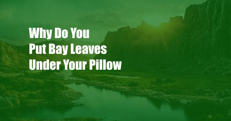 Why Do You Put Bay Leaves Under Your Pillow