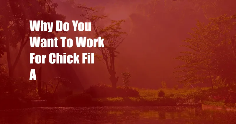 Why Do You Want To Work For Chick Fil A