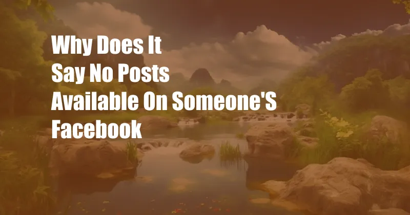 Why Does It Say No Posts Available On Someone'S Facebook