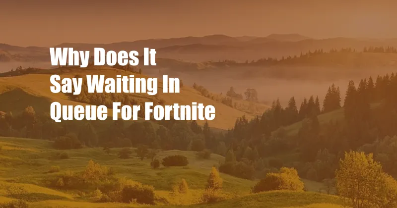 Why Does It Say Waiting In Queue For Fortnite