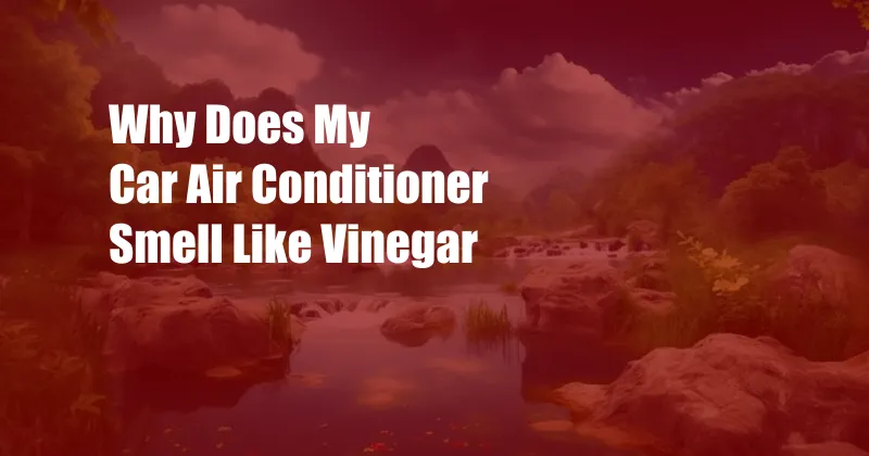 Why Does My Car Air Conditioner Smell Like Vinegar