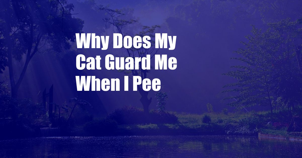 Why Does My Cat Guard Me When I Pee