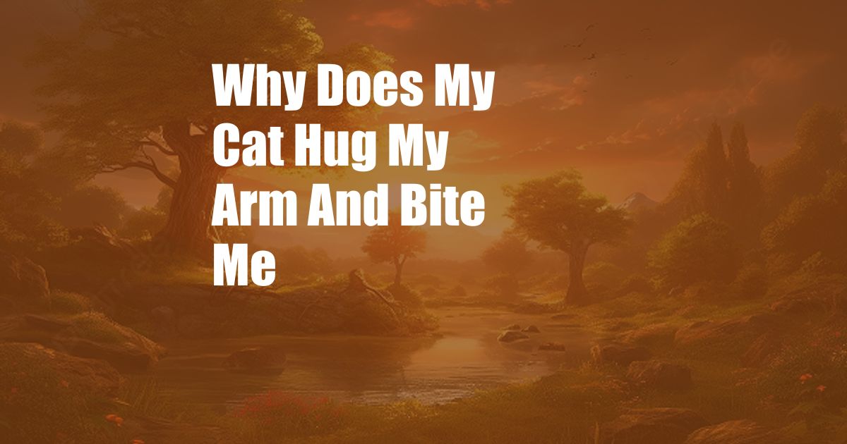 Why Does My Cat Hug My Arm And Bite Me