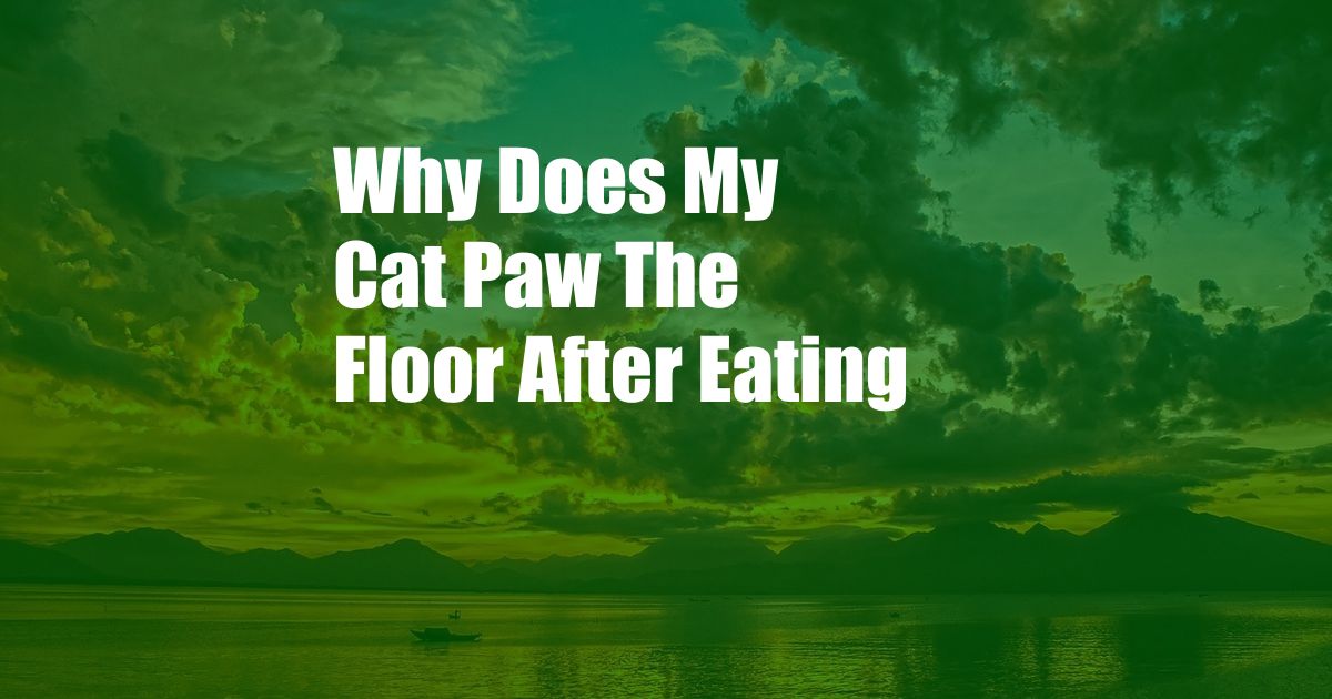 Why Does My Cat Paw The Floor After Eating