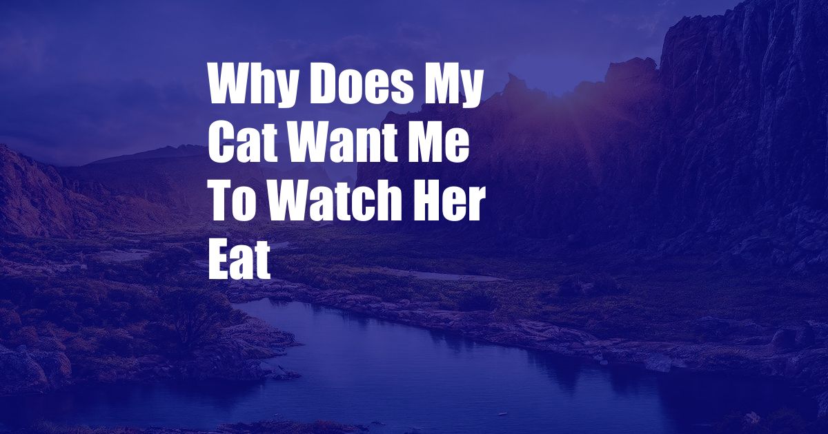 Why Does My Cat Want Me To Watch Her Eat