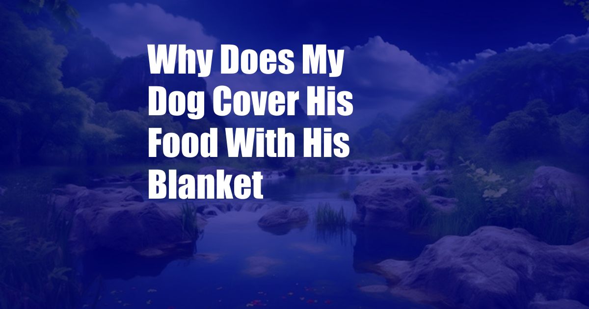 Why Does My Dog Cover His Food With His Blanket