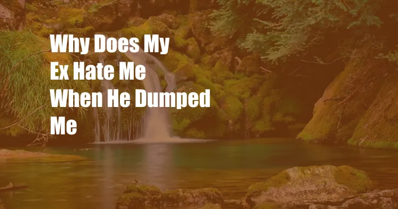 Why Does My Ex Hate Me When He Dumped Me
