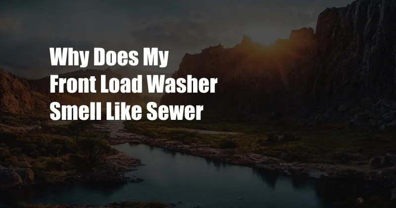 Why Does My Front Load Washer Smell Like Sewer