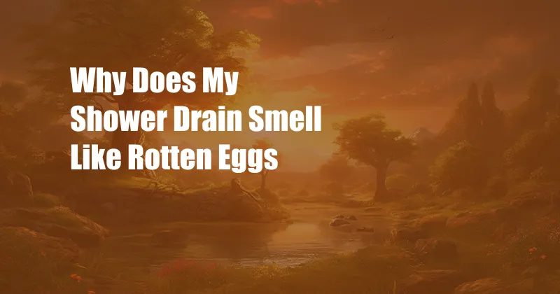 Why Does My Shower Drain Smell Like Rotten Eggs