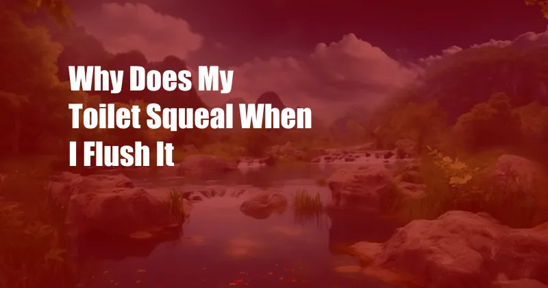 Why Does My Toilet Squeal When I Flush It