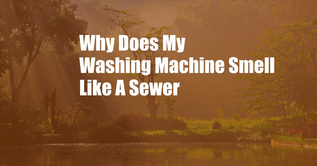 Why Does My Washing Machine Smell Like A Sewer