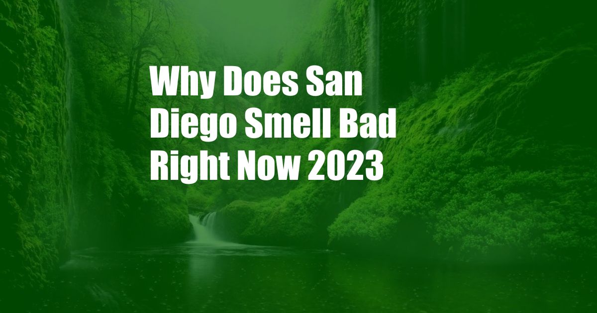 Why Does San Diego Smell Bad Right Now 2023