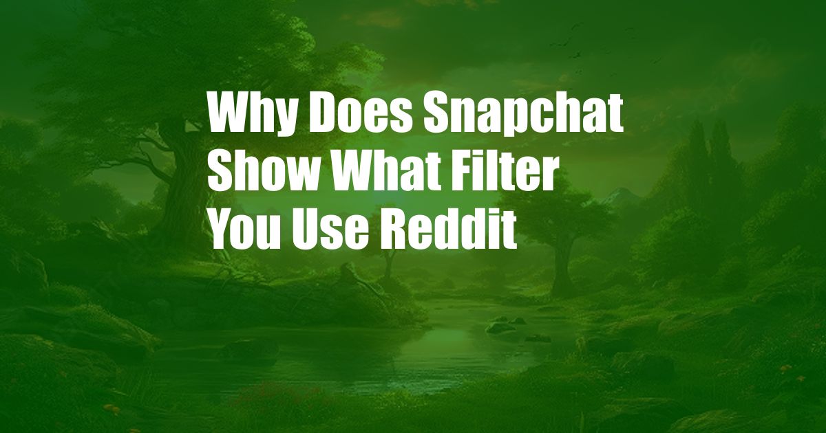 Why Does Snapchat Show What Filter You Use Reddit