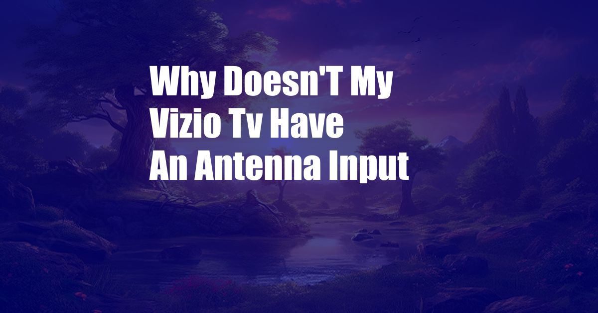 Why Doesn'T My Vizio Tv Have An Antenna Input
