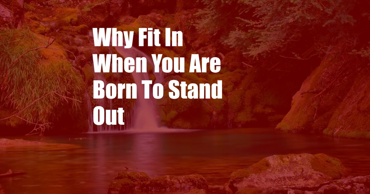 Why Fit In When You Are Born To Stand Out