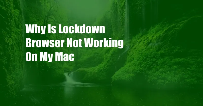 Why Is Lockdown Browser Not Working On My Mac