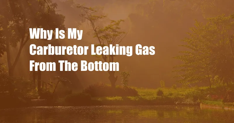 Why Is My Carburetor Leaking Gas From The Bottom