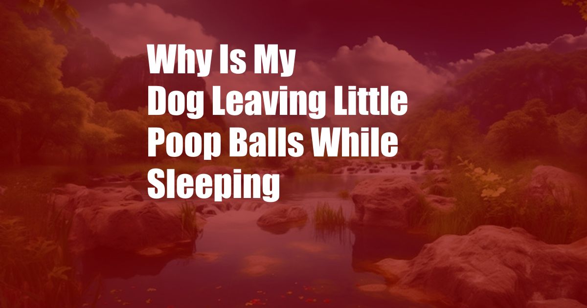 Why Is My Dog Leaving Little Poop Balls While Sleeping