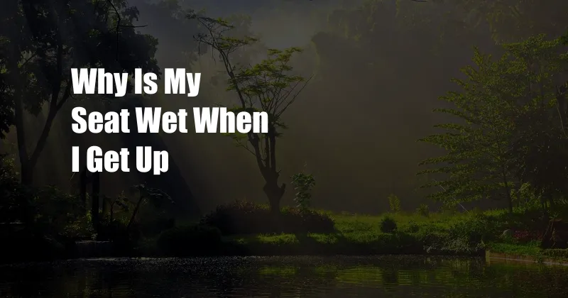 Why Is My Seat Wet When I Get Up