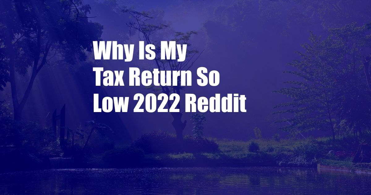 Why Is My Tax Return So Low 2022 Reddit