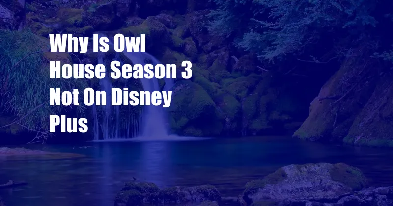 Why Is Owl House Season 3 Not On Disney Plus