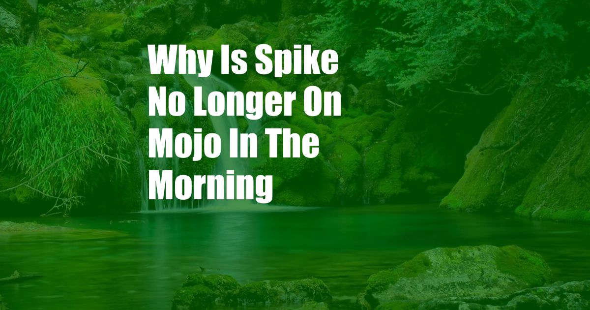 Why Is Spike No Longer On Mojo In The Morning