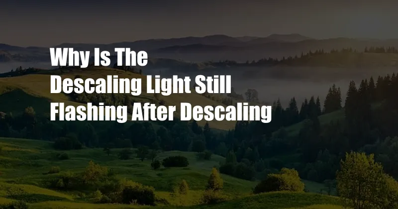 Why Is The Descaling Light Still Flashing After Descaling