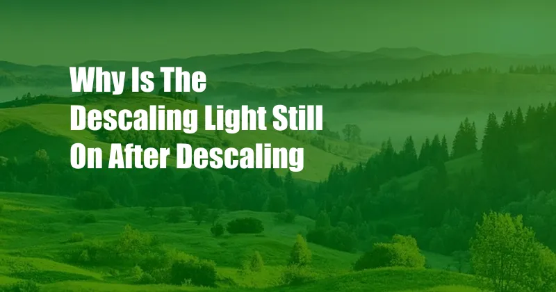 Why Is The Descaling Light Still On After Descaling