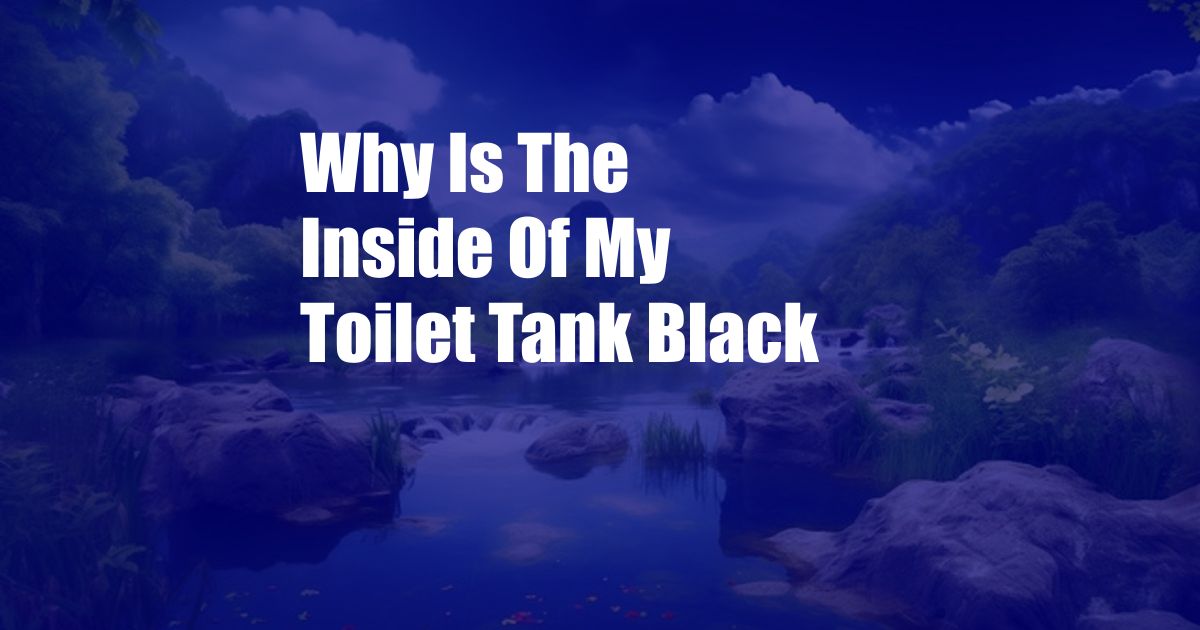 Why Is The Inside Of My Toilet Tank Black