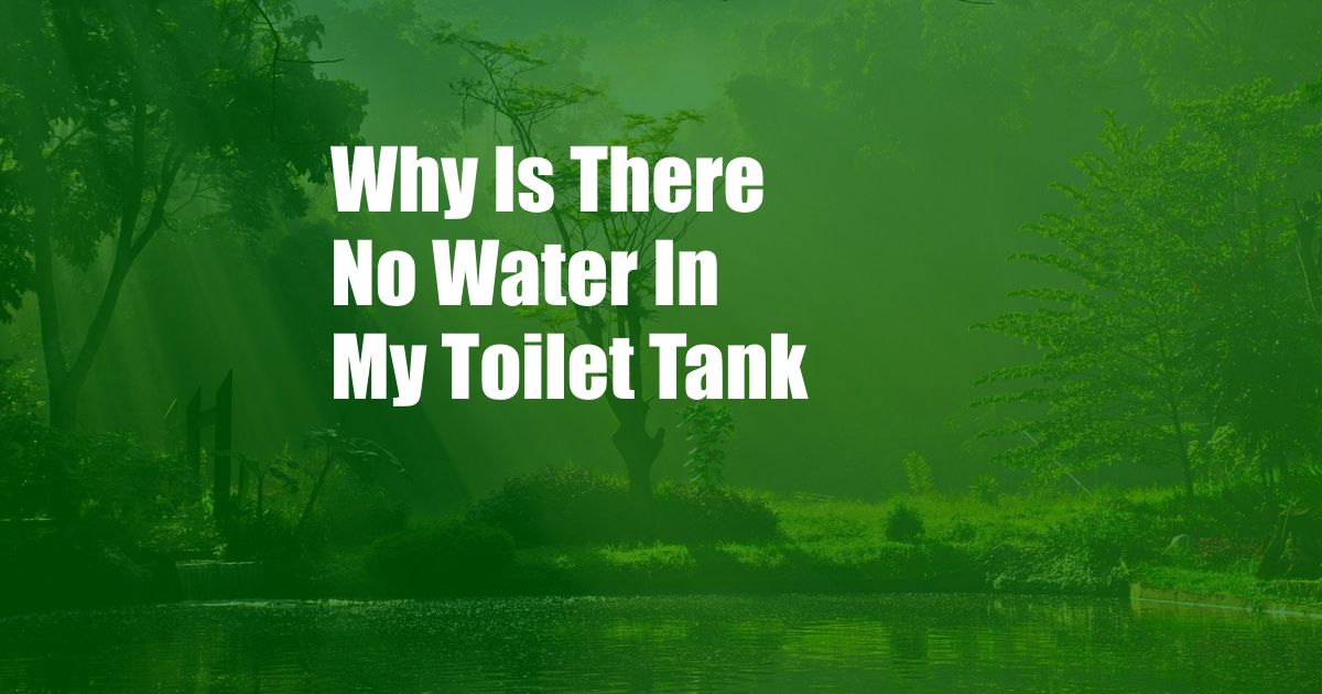 Why Is There No Water In My Toilet Tank